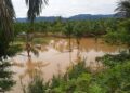 Banjir akibat Luapan Sungai Batang Saman Pasbar, Puluhan Hektare Lahan Pertanian Terdampak