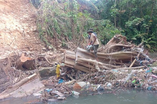 Pohon Tumbang Hambat Aliran Sungai di Padang, BPBD Lakukan Ini 1 Pohon tumbang menghambat aliran sungai di kawasan Tanah Sirah, Kecamatan Lubuk Begalung, Kota Padang. (Foto: Dok. Pusdalops PB)