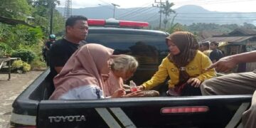Sempat dilaporkan Hilang, Nenek 80 Tahun di Pasbar Ditemukan di Kebun Warga 8 Sempat dilaporkan Hilang, Nenek 80 Tahun di Pasbar Ditemukan di Kebun Warga