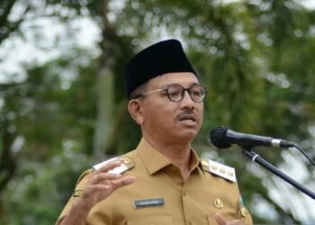 Bupati Solok Selatan, Khairunas. (Antara/Erik)