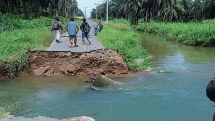 Rusak Diterjang Air, Jembatan Darurat ke Objek Wisata Sikabau Pasbar segera Dibangun 1 Jembatan menuju daerah Objek Wisata Sikabau Kecamatan Parit Koto Balingka Kabupaten Pasaman Barat putus dihantam air sungai, Selasa (18/7/2023). Antara/HO-Diskominfo Pasbar).