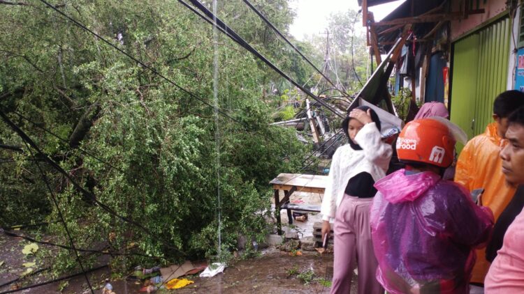Pohon tumbang di kawasan Jati akibat hujan deras dan angin kencang pada Minggu (23/7/2023) sore. (Foto: Dok. Istimewa)