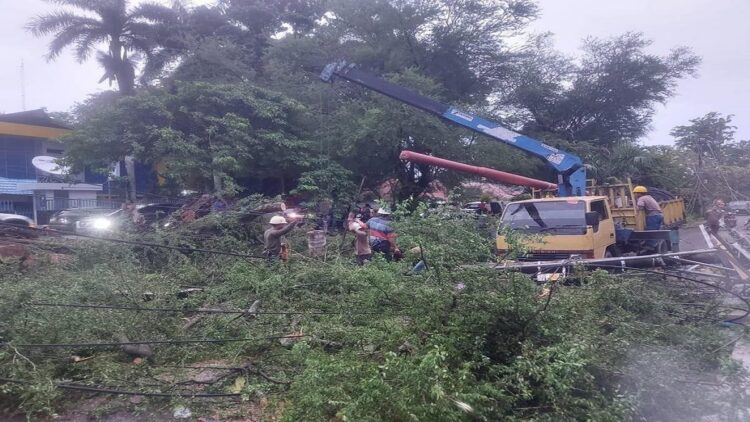 Pohon tumbang di Kota Padang timpa tiang listrik, Minggu (23/7/2023) sore hingga malam. (Foto: Dok. Muhammad Aidil)