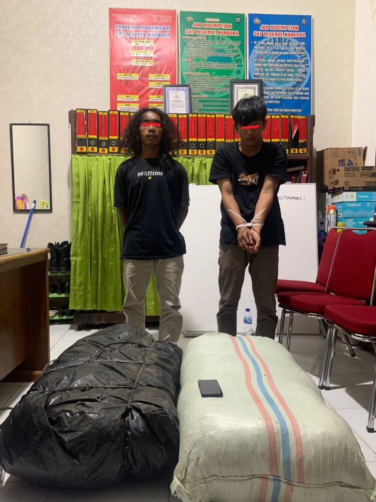 Dua pemuda ini ditangkap karena kepemilikan 50 kilo ganja. (Foto: Dok. Istiimewa)