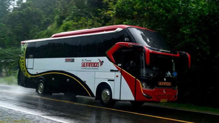 Harga Tiket Bus Sembodo Padang-Jakarta Sedang Diskon, Cek Disini! 1 Bus Sembodo, salah satu bus yang melayani rute Padang-Jakarta. (dok. istimewa)