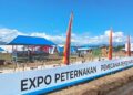 Proses Pemurnian Sapi Pesisir di BPTU-HPT Padang Mengatas Capai 70 Persen 3 Proses Pemurnian Sapi Pesisir di BPTU-HPT Padang Mengatas Capai 70 Persen