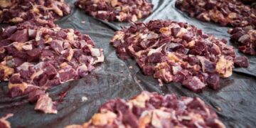 Bisa Berdampak pada Kesehatan, Konsumsi Daging jangan Berlebihan 7 Bisa Berdampak pada Kesehatan, Konsumsi Daging jangan Berlebihan