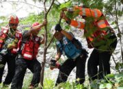 Semen Padang Lakukan Panen Perdana Kaliandra di Area Reklamasi Bekas Tambang