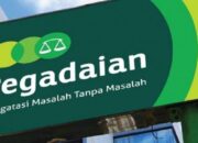 Tumbuh 14,05 Persen, Pegadaian Catat OSL Gross Semester I jadi Rp62,85 Triliun
