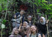 Rafflesia Mekar Sempurna di Batang Palupuh, Wisatawan Asing Berdatangan