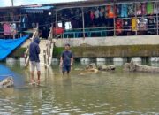 Batu Malin Kundang di Pantai Air Manis Tenggelam, Begini Tanggapan Pemko Padang