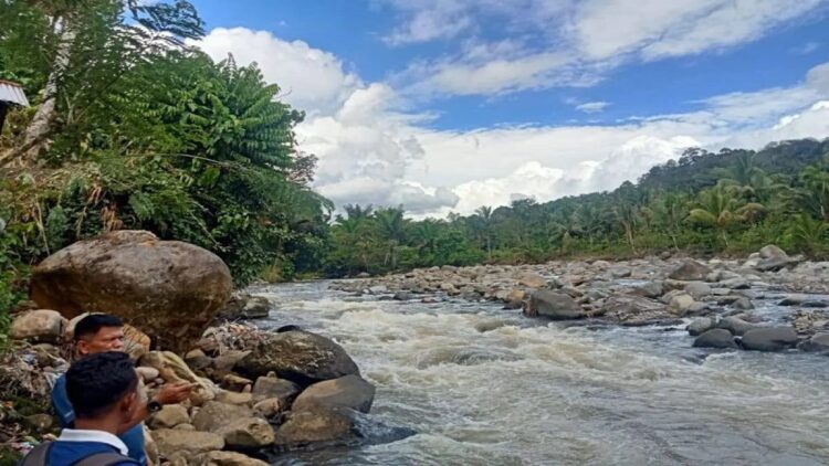 BPBD Pasaman Barat saat memantau kondisi air sungai dalam rangka kewaspadaan bencana di daerah itu, Kamis (3/8/2023). Antara/Altas Maulana.