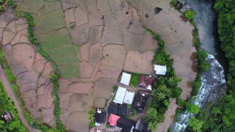 Foto udara areal persawahan di Sumatera Barat. (ANTARA/Fandi Yogari).