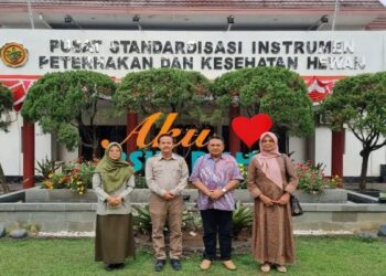 Berpotensi Tingkatkan Perekonomian Daerah, Pemkab Solok Kembangkan Ternak Kambing Boerka