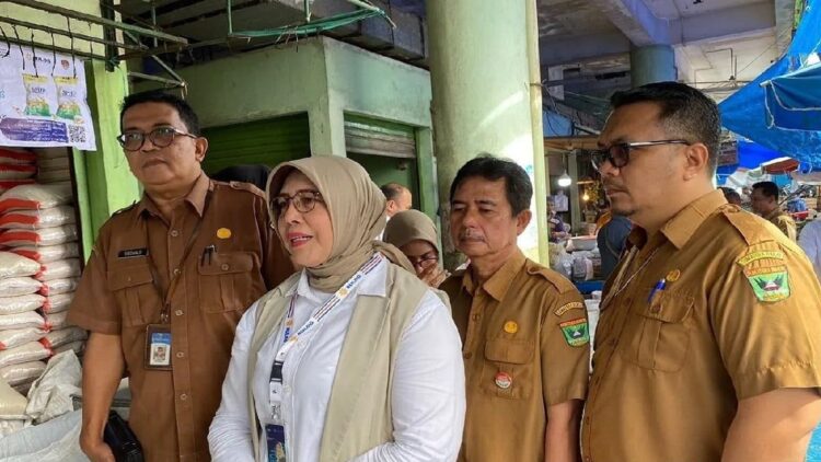 Pastikan Stok Beras Aman hingga Akhir Tahun, Bulog Pantau Pasar Raya Padang 1 Bulog Sumbar "Grebek Pasar" pantau kondisi stok beras. (Foto: Dok. Antara)