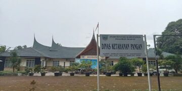 Pemkab Pasbar Tegaskan Stok Beras masih Mencukupi saat Harga Melonjak di Pasaran 8 Stok Beras Capai 48,9 Ton, Pemkab Pasbar Klaim Mencukupi untuk Kebutuhan Masyarakat