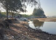 Antisipasi Abrasi di Pantai Sasak, Pemkab Pasbar Berharap Pemprov Sumbar Bantu Pembangunan Grib