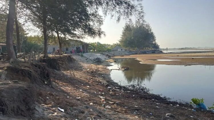 Abrasi pantai terus terjadi di Bungo Tanjuang Jorong Pondok Kecamatan Sasan Ranah Pasisia Kabupaten Pasaman Barat, Sumbar. Antara/Altas Maulana.
