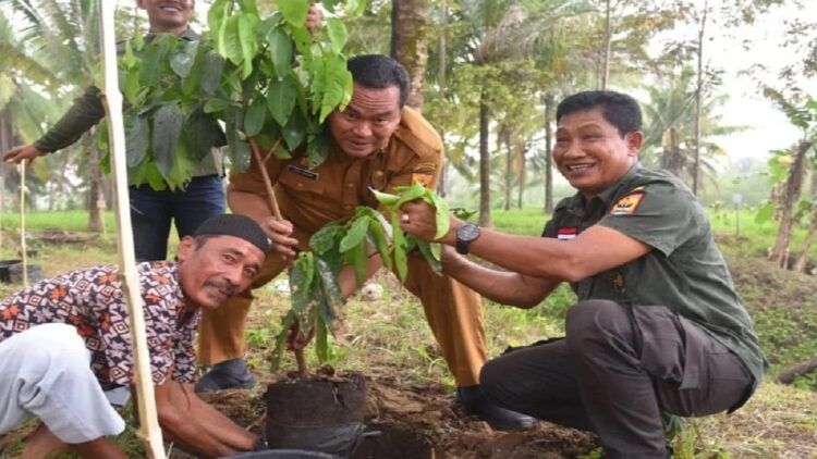 Pemerintah Desa Rambai Pariaman Tanam Ribuan Pohon di Lahan Tidur 1 Sekda Kota Pariaman, Sumbar Yota Balad (tengah) sedang menanam pohon saat penanaman pohon bersama di Desa Rambai, Pariaman Selatan, Selasa (29/8). Antara/HO-Diskominfo Pariaman
