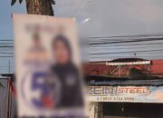 Pengamat Lingkungan Kritik Caleg Pasang Poster di Pohon, Pemda Harus Awasi Ketat