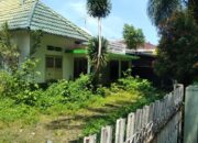 Kondisi Eks Sekretariat DPP IKA Unand Memprihatinkan, Alumni: Sekarang Ramai oleh Rumput