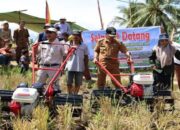 4.392 Warga Tanahdatar Ajukan Permohonan Layanan Bajak Sawah Gratis, Luasnya 2 Ribu Ha