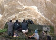 Seorang Pengemudi Hilang usai Mobilnya Terjun ke Jurang di Agam