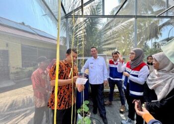 Pelatihan Smart Farming kepada petani di Pariaman. (Foto: Dok. Pertamina)