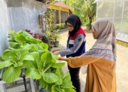 Desa Energi Berdikari Pertamina Memanfaatkan Tenaga Surya di Kampung Apar