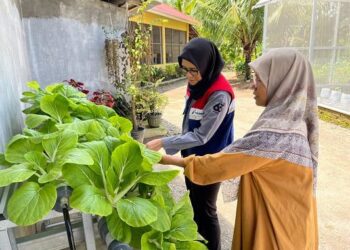 Desa Energi Berdikari Pertamina di Kampung Apar. (Foto: Dok. DPPU Minangkabau)