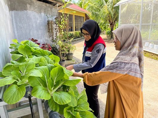 Desa Energi Berdikari Pertamina Memanfaatkan Tenaga Surya di Kampung Apar 1 Desa Energi Berdikari Pertamina di Kampung Apar. (Foto: Dok. DPPU Minangkabau)