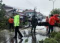 Hujan Deras di Padang Akibatkan Pohon Tumbang dan Tiang Listrik Patah 2 Pohon tumbang di sejumlah titik Kota Padang. (Foto: Dok. Pusdalops PB)