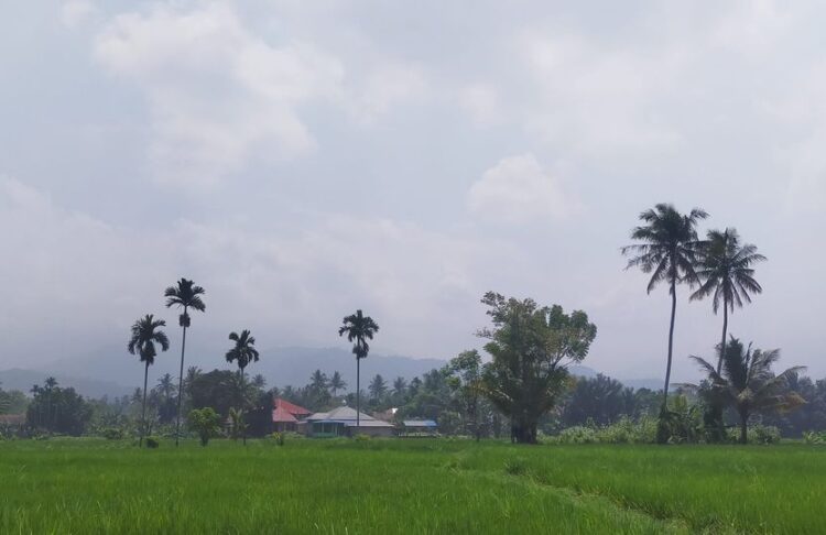 Kualitas Udara di Padang Membaik, Ini Penjelasan DLH 1 Langit Kota Padang terlihat berkabut kendati cuaca sedang cerah. (Foto: Dok. Diskominfo Padang)
