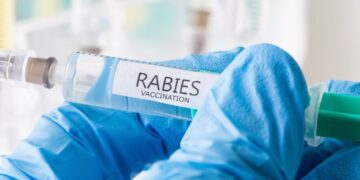 Anjing Gigit Puluhan Orang di Padang Positif Rabies, Dinkes: Korban Diberi Vaksin hingga Tiga Pekan