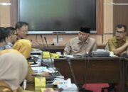 Pemprov Sumbar Tawarkan Perluasan Kerja Sama dengan JICA dari Kebencanaan hingga Kesehatan