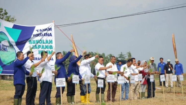 BMKG Sumbar bersama Pemerintah Kabupaten Padangpariaman melakukan penanaman pertama padi dengan penerapan teknologi MTOT (Antara/Al Fatah)