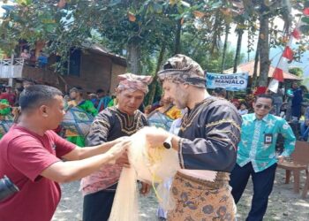 Tertarik Lihat Peserta Gunakan Pakaian Adat, Bule Prancis Ramaikan Lomba Manjalo di Danau Maninjau