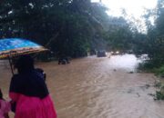 Hujan Lebat, Sejumlah Daerah di Pasbar Terendam Banjir