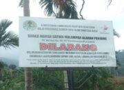 BKSDA Sumbar Tangani Kasus Harimau Serang Manusia di Pasaman