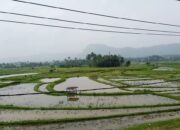 Pemkab Tanahdatar Uji Kualitas Udara, Ambil Sampel di Beberapa Titik