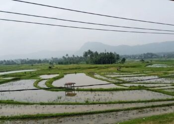 Pemkab Tanahdatar Uji Kualitas Udara, Ambil Sampel di Beberapa Titik
