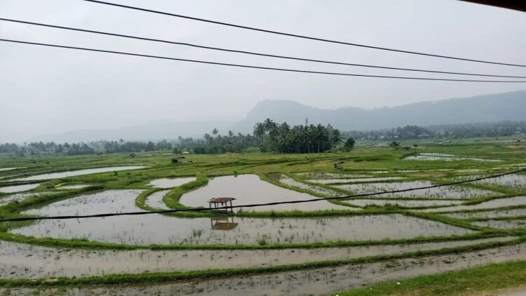 Pemkab Tanahdatar uji sampel kualitas udara (Antara/Etri Saputra)