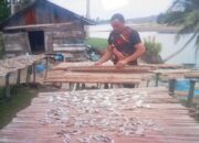 Harga Garam Melambung Tinggi, Pembuat Ikan Kering di Pasbar Mengeluh