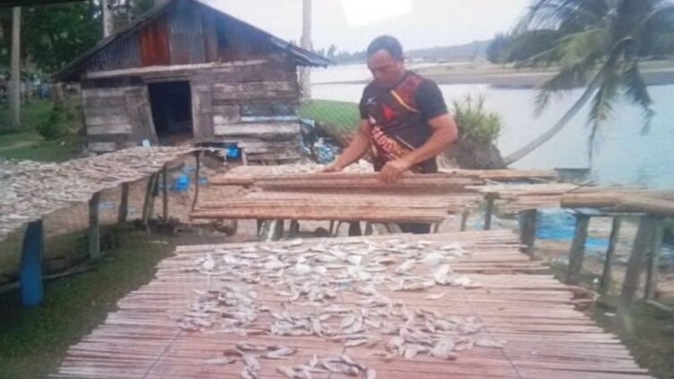 Salah seorang warga pembuat ikan kering asin di Maligi Sasak Kabupaten Pasaman Barat saat menjemur ikan kering asin. Saat ini mereka mengeluhkan harga garam yang melambung, Selasa (5/9/2023). Antara/Altas Maulana.