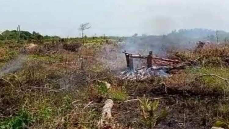 Salah satu lokasi Karhutla yang berhasil dipadamkan BPBD Kabupaten Pesisir Selatan. (Foto: Dok. Istimewa)