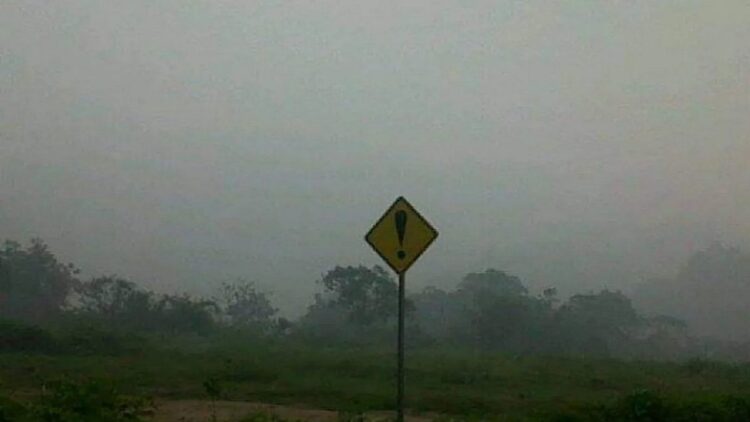 Kabut Asap Selimuti Padangpanjang, UPTD Laboratorium LH Sebut Kualitas Udara masih Aman 1 Kondisi kabut asap di Padangpanjang. (ANTARA/Isril)