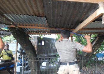 Gunakan Fasum, Warung dan Pangkalan Ojek di Padang Dibongkar Satpol PP