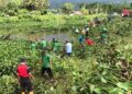Gotong royong membersihkan enceng gondok di Danau Maninjau. (Foto: Dok Diskominfo Agam)