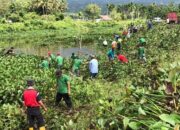 ASN di Agam Bersihkan 39 Ton Eceng Gondok Danau Maninjau