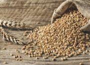 Harga Pangan Dunia Turun 2,1 Persen pada Agustus